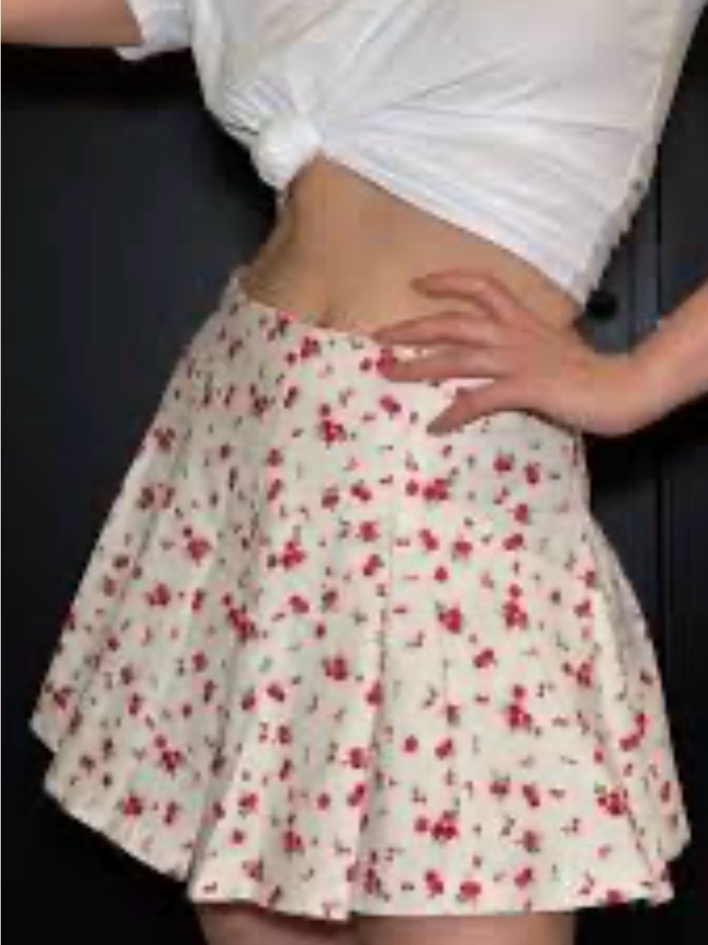 Like new Zara circle skirt, size small